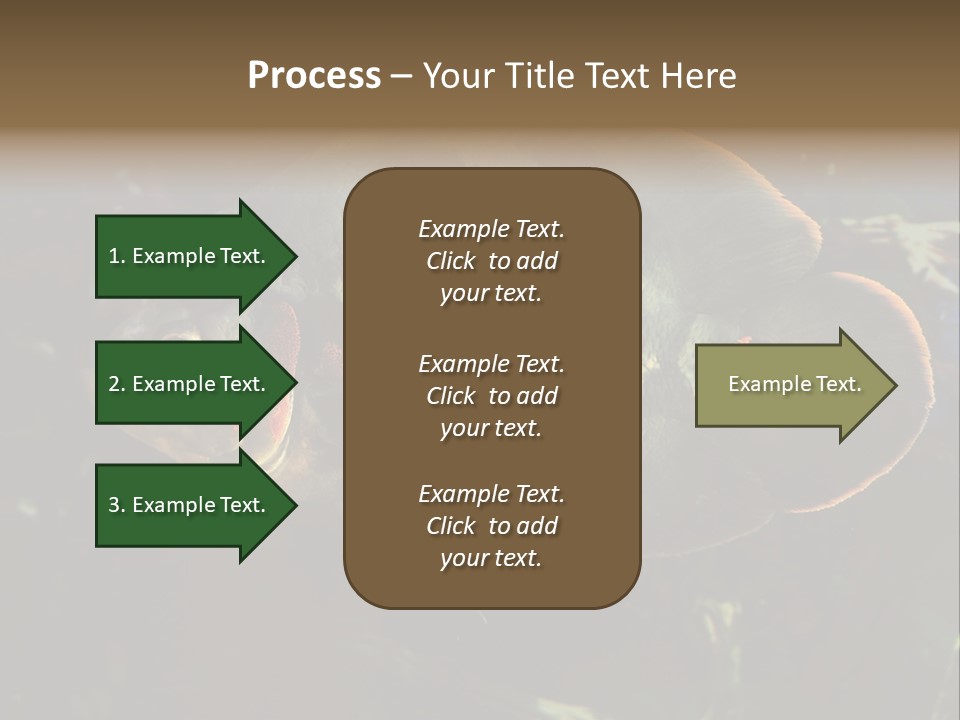 A Large Fish In An Aquarium Powerpoint Presentation PowerPoint Template