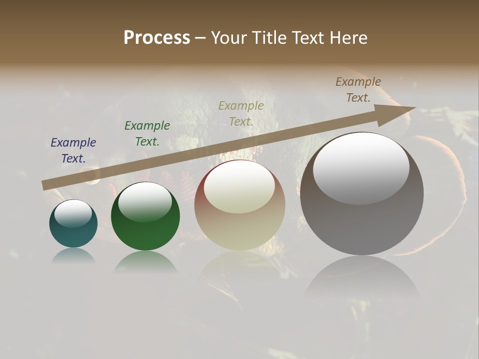 A Large Fish In An Aquarium Powerpoint Presentation PowerPoint Template