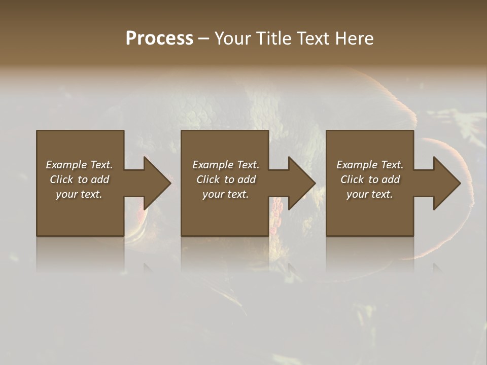 A Large Fish In An Aquarium Powerpoint Presentation PowerPoint Template