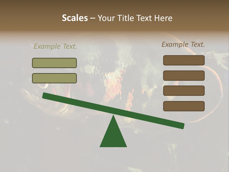 A Large Fish In An Aquarium Powerpoint Presentation PowerPoint Template