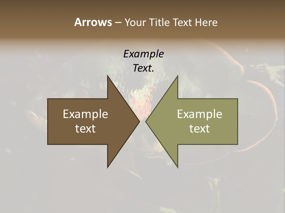 A Large Fish In An Aquarium Powerpoint Presentation PowerPoint Template