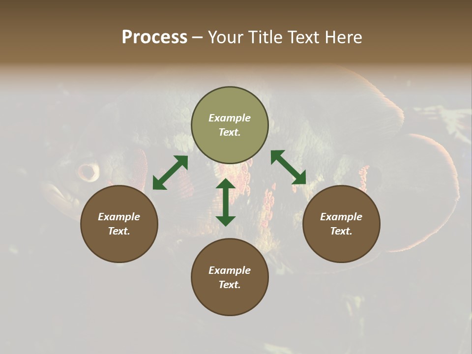 A Large Fish In An Aquarium Powerpoint Presentation PowerPoint Template