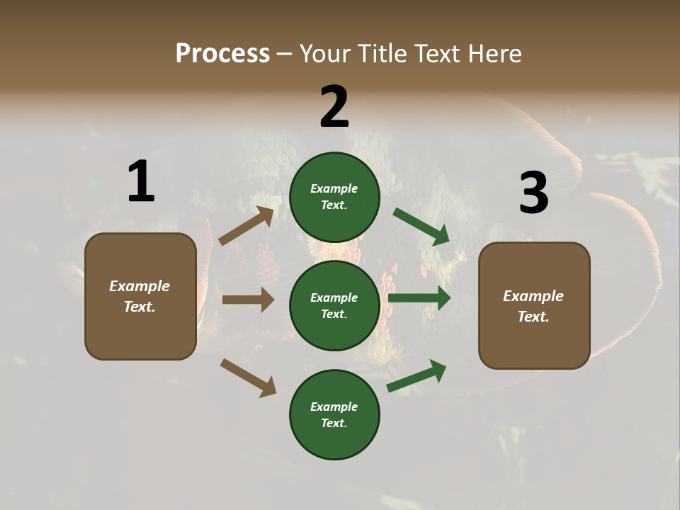 A Large Fish In An Aquarium Powerpoint Presentation PowerPoint Template