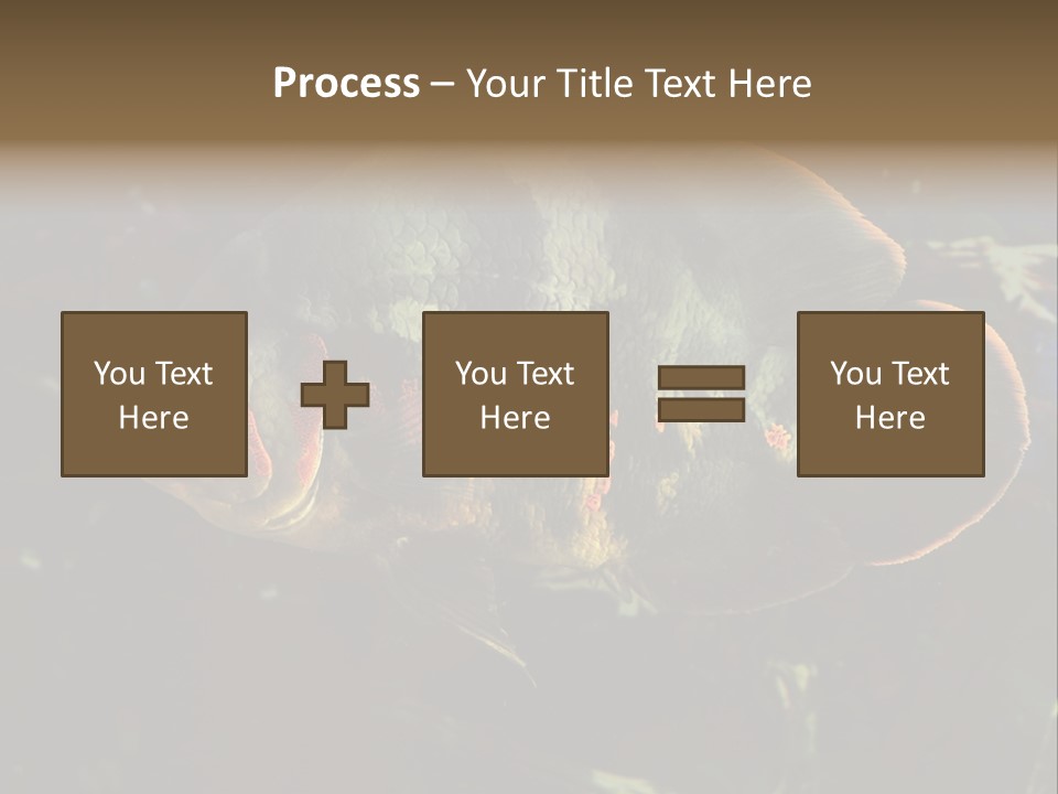 A Large Fish In An Aquarium Powerpoint Presentation PowerPoint Template