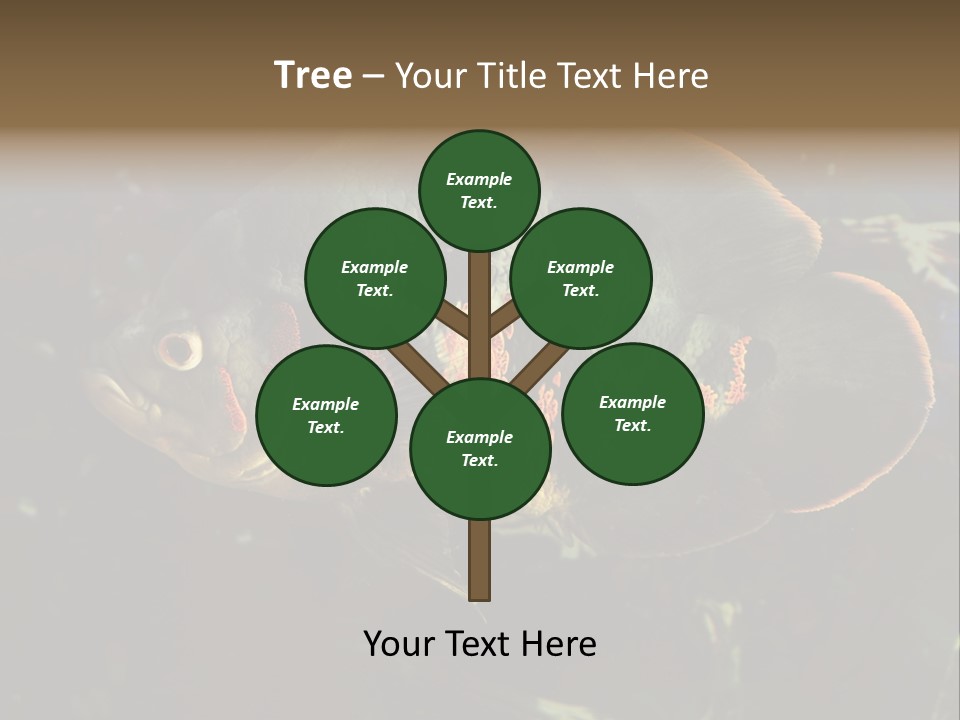 A Large Fish In An Aquarium Powerpoint Presentation PowerPoint Template