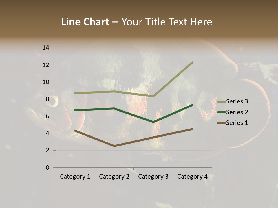 A Large Fish In An Aquarium Powerpoint Presentation PowerPoint Template