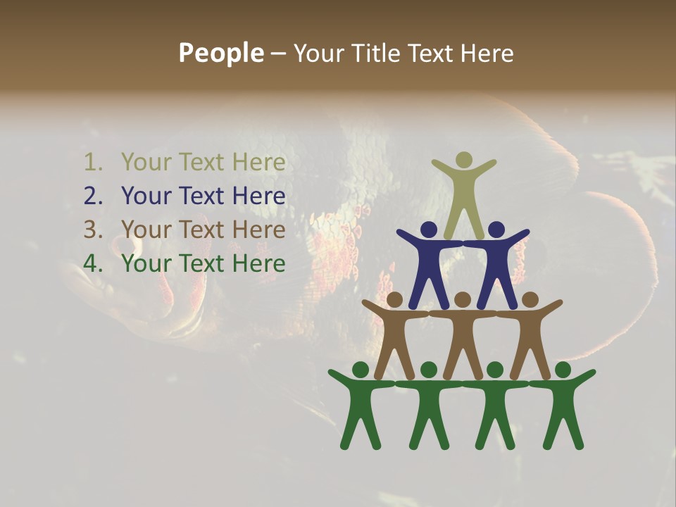 A Large Fish In An Aquarium Powerpoint Presentation PowerPoint Template