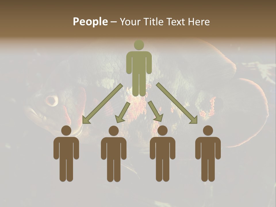 A Large Fish In An Aquarium Powerpoint Presentation PowerPoint Template