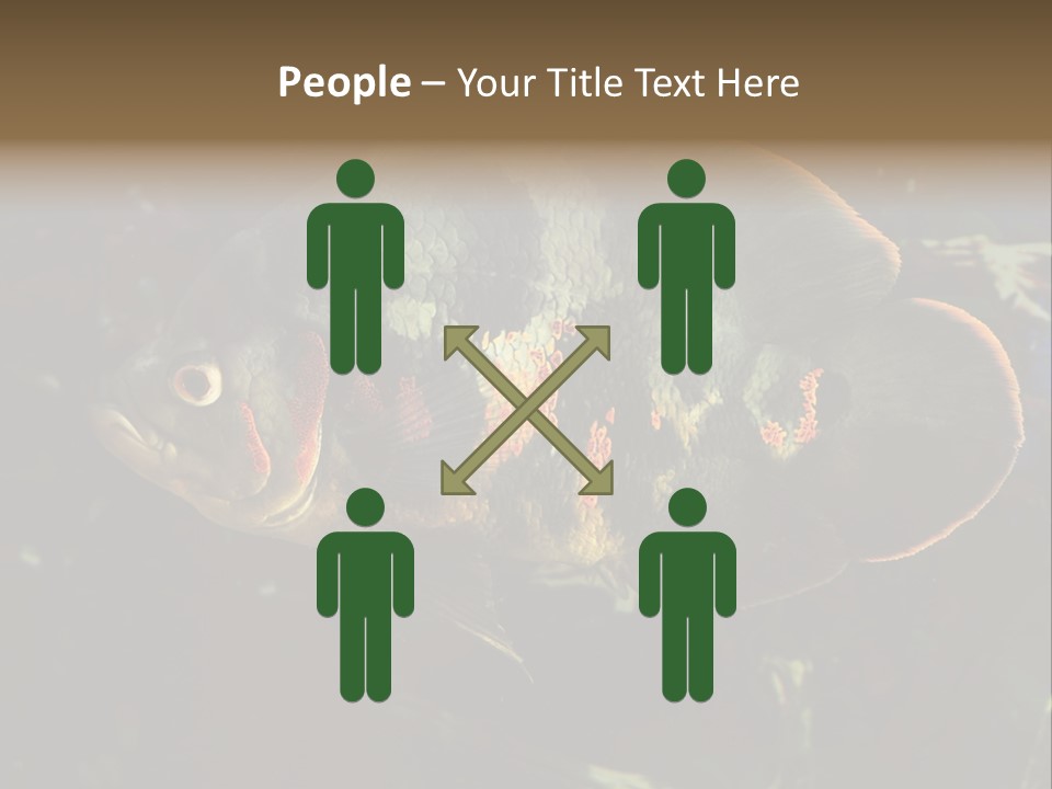 A Large Fish In An Aquarium Powerpoint Presentation PowerPoint Template