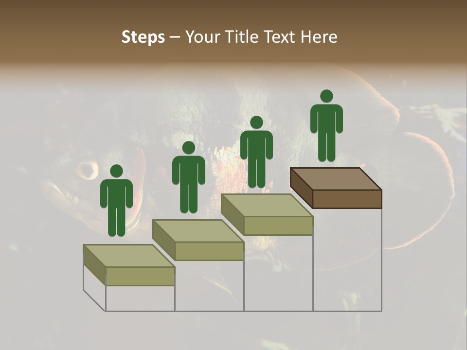 A Large Fish In An Aquarium Powerpoint Presentation PowerPoint Template