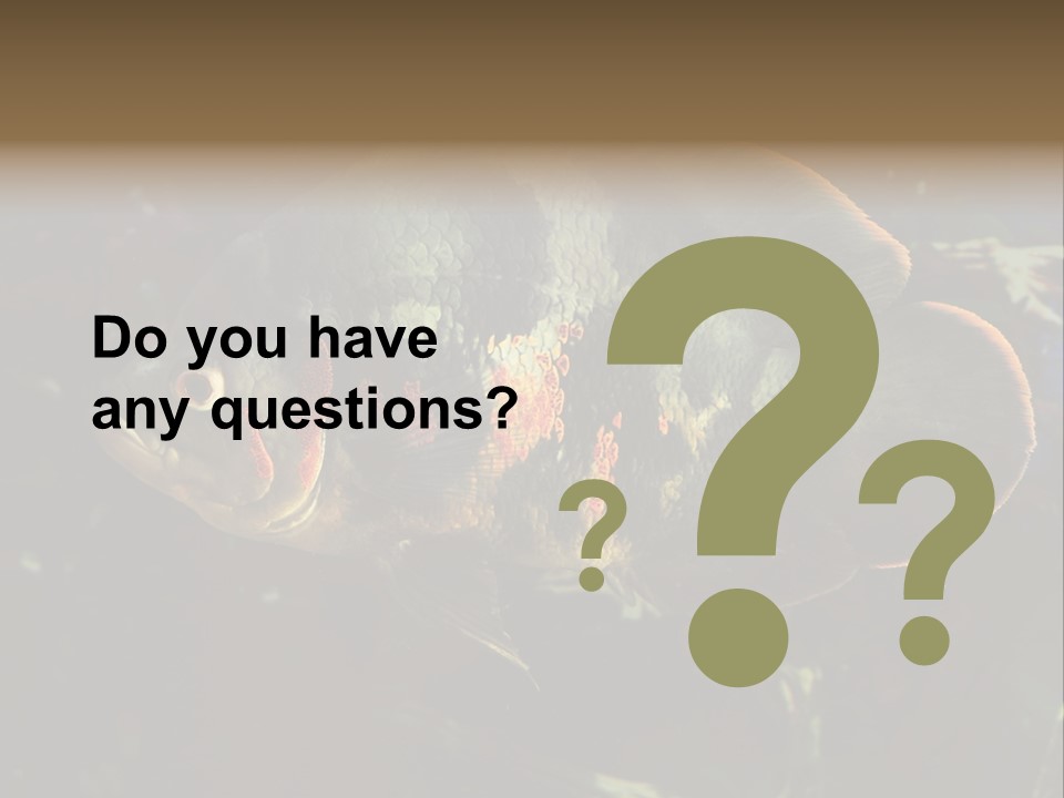 A Large Fish In An Aquarium Powerpoint Presentation PowerPoint Template