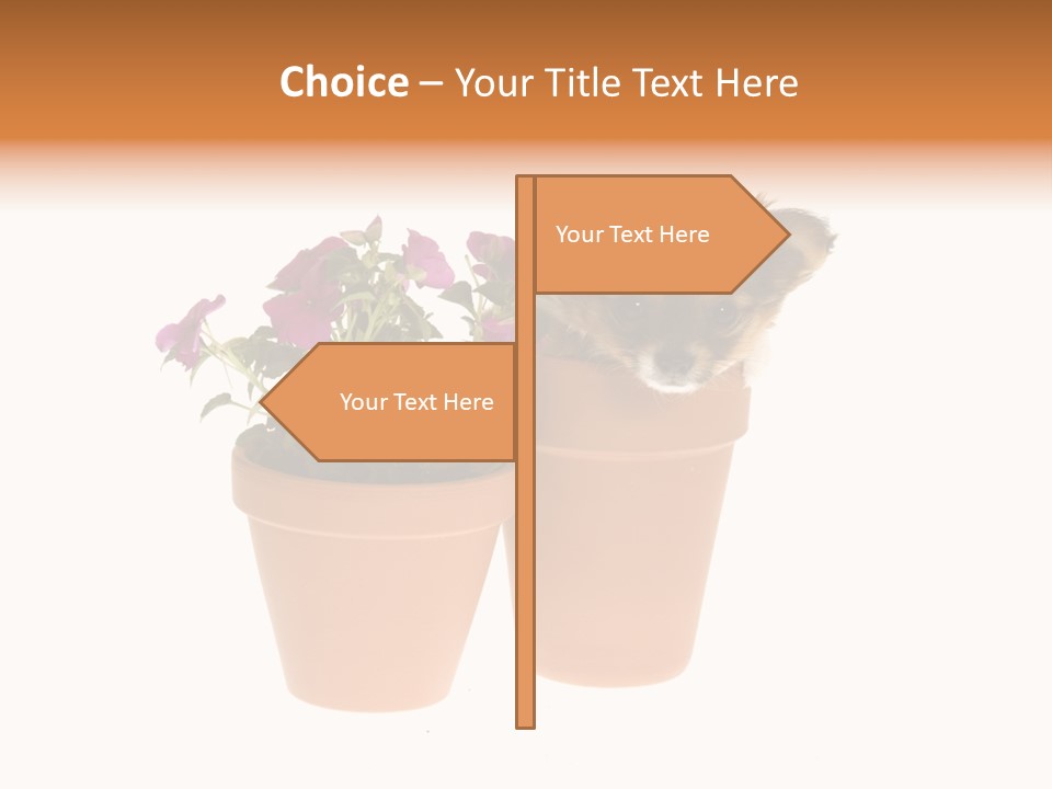 Creativity Hand Cake PowerPoint Template