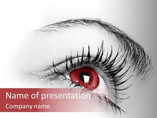 Makeup Staring Beast PowerPoint Template