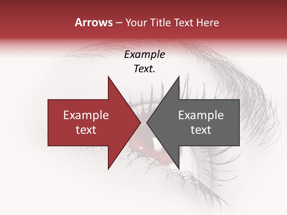 Makeup Staring Beast PowerPoint Template