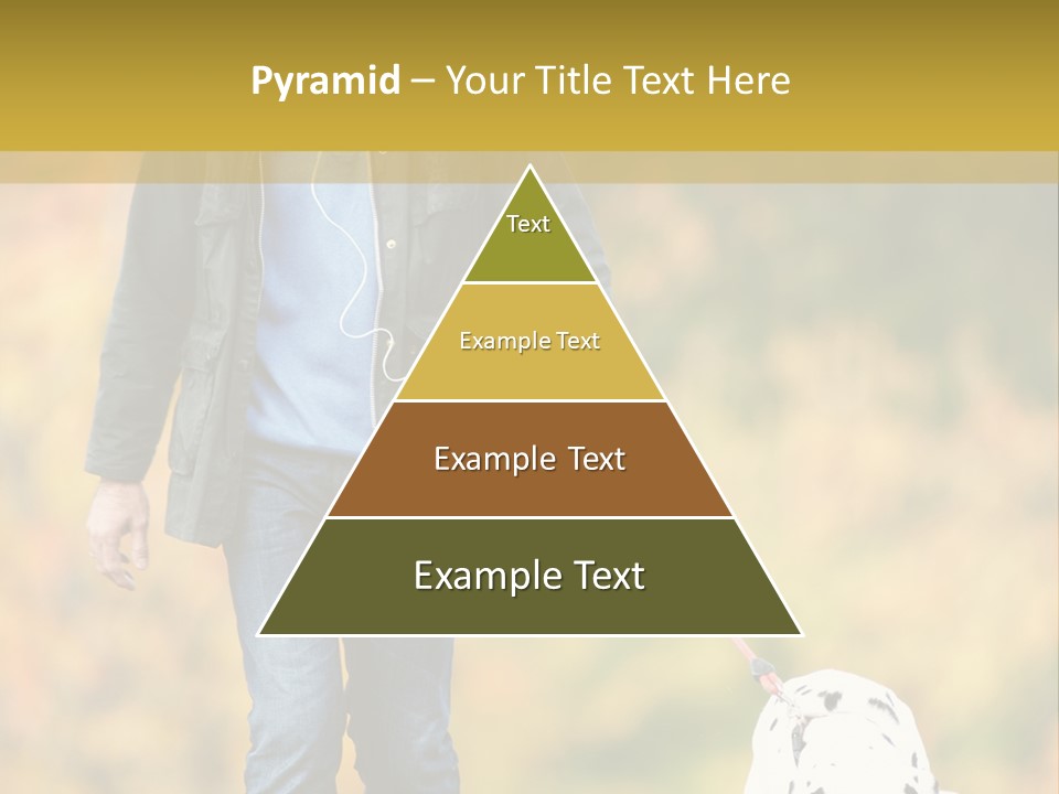 A Man Walking A Dalmatian Dog On A Leash PowerPoint Template