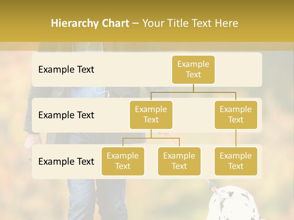 A Man Walking A Dalmatian Dog On A Leash PowerPoint Template
