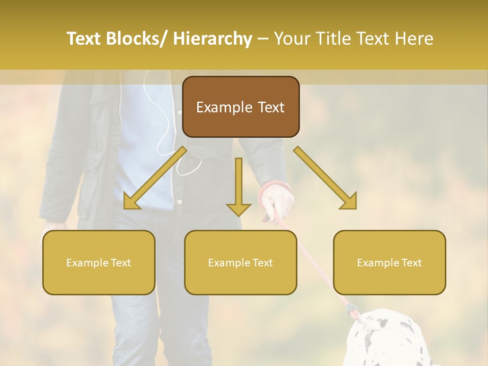 A Man Walking A Dalmatian Dog On A Leash PowerPoint Template