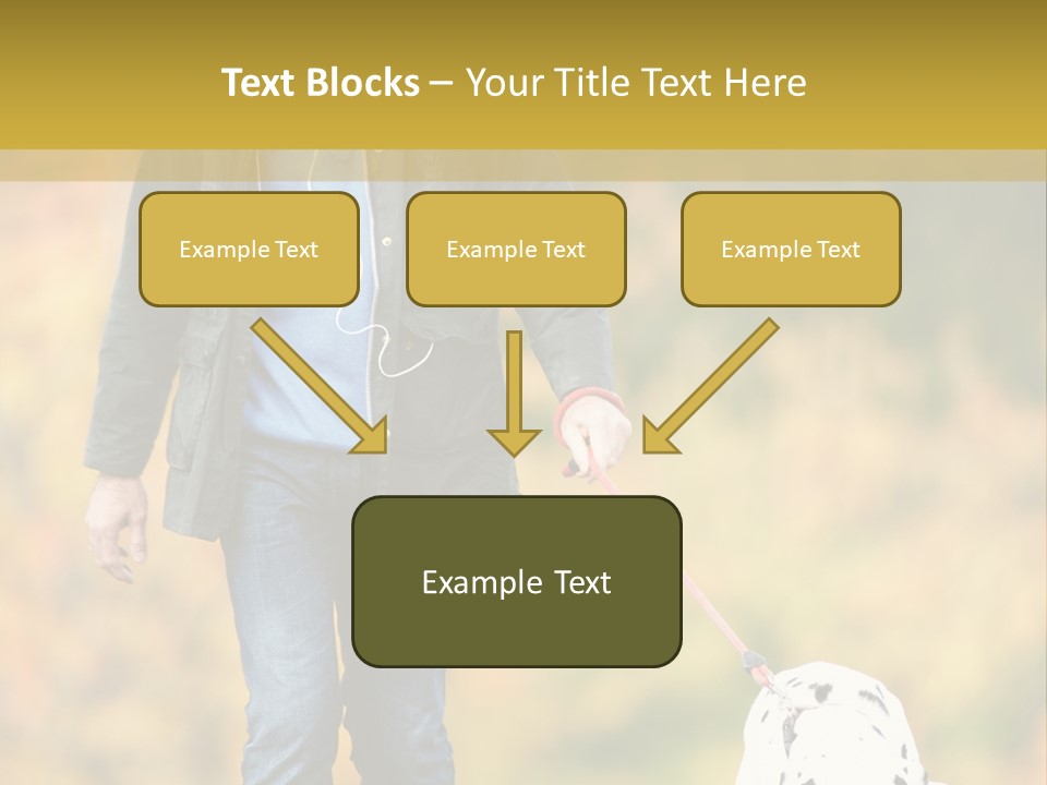 A Man Walking A Dalmatian Dog On A Leash PowerPoint Template