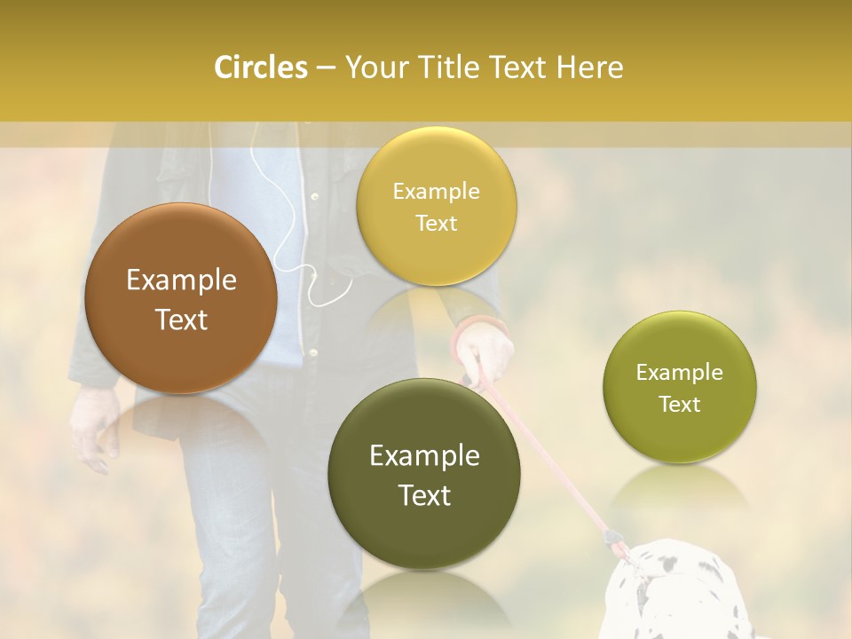 A Man Walking A Dalmatian Dog On A Leash PowerPoint Template