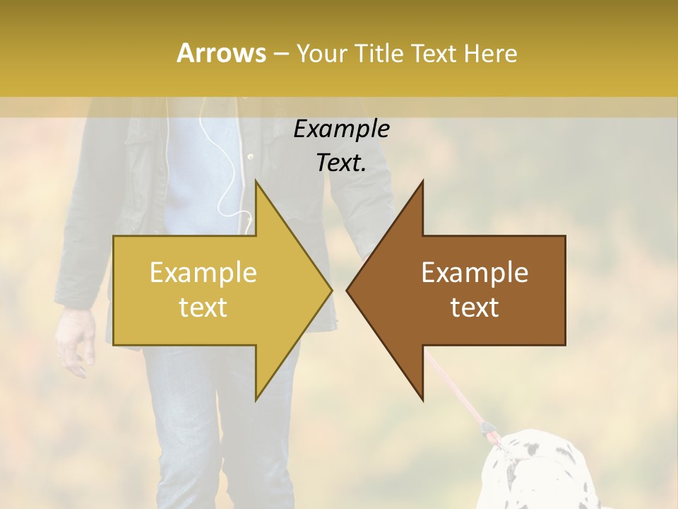 A Man Walking A Dalmatian Dog On A Leash PowerPoint Template