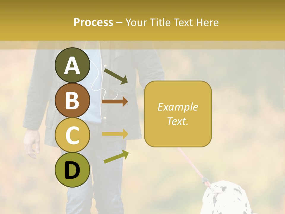 A Man Walking A Dalmatian Dog On A Leash PowerPoint Template