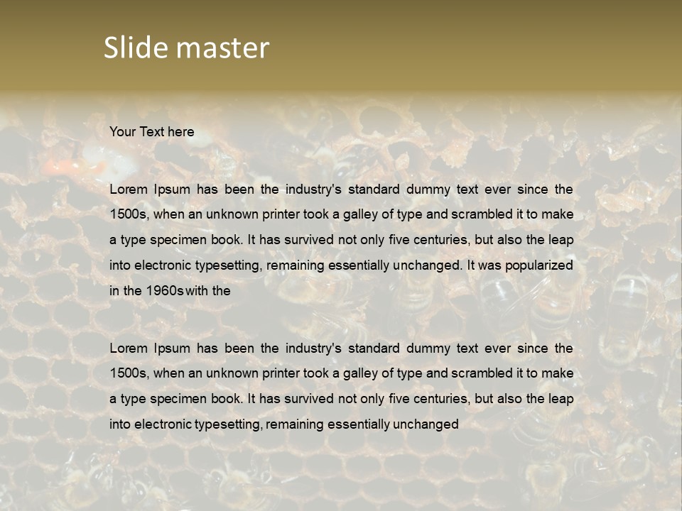 Apiary Moving Background PowerPoint Template