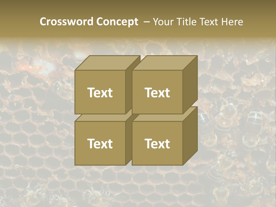 Apiary Moving Background PowerPoint Template