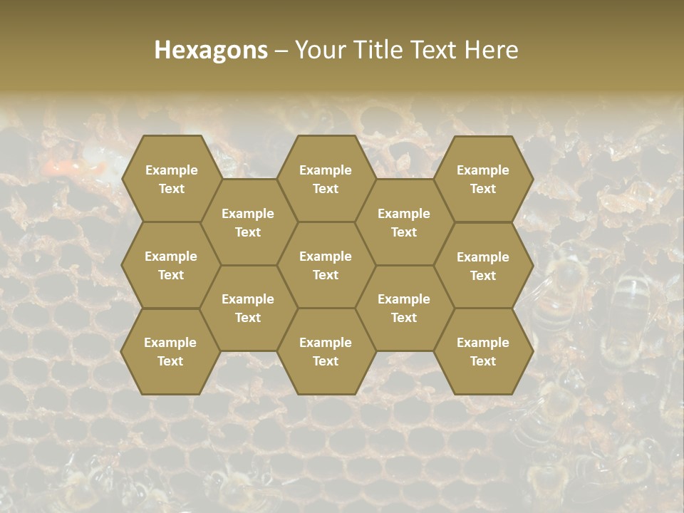 Apiary Moving Background PowerPoint Template