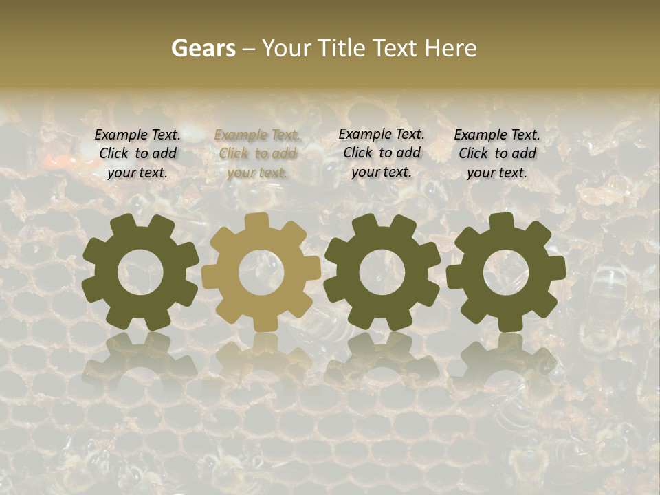 Apiary Moving Background PowerPoint Template