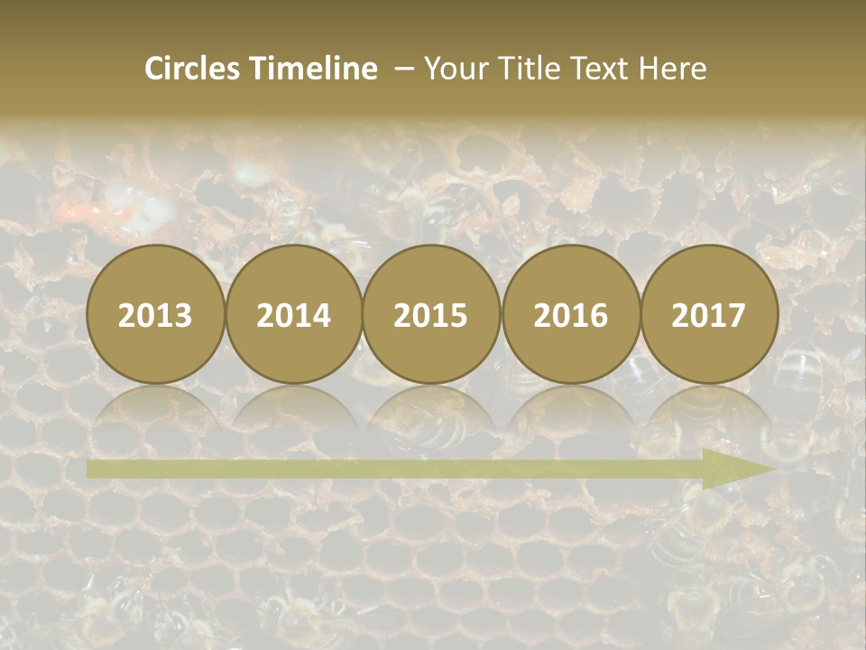 Apiary Moving Background PowerPoint Template