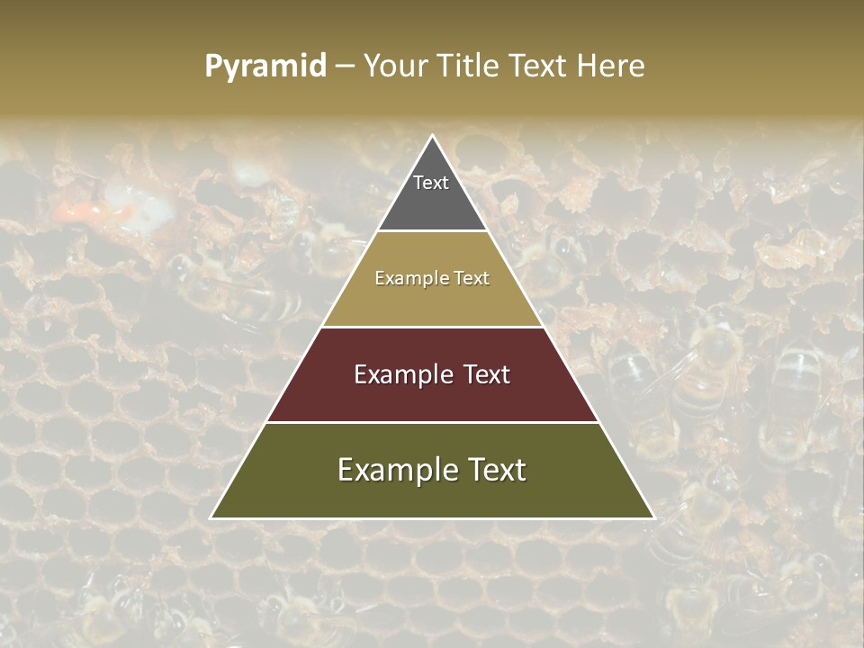 Apiary Moving Background PowerPoint Template