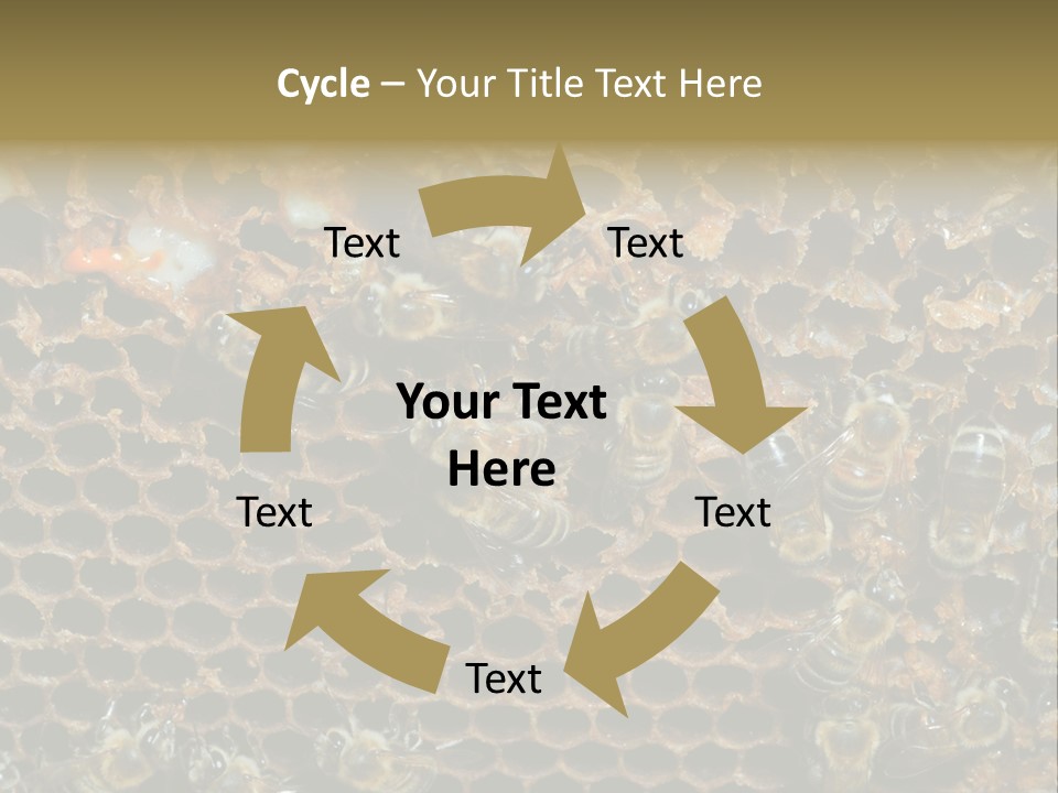 Apiary Moving Background PowerPoint Template