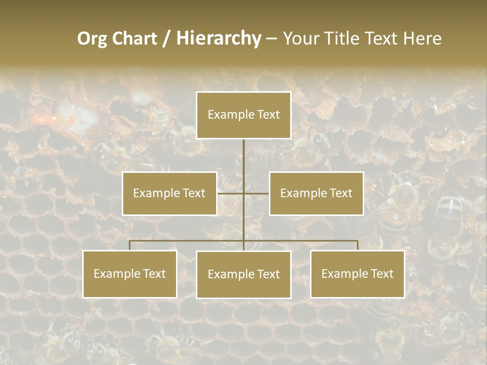 Apiary Moving Background PowerPoint Template