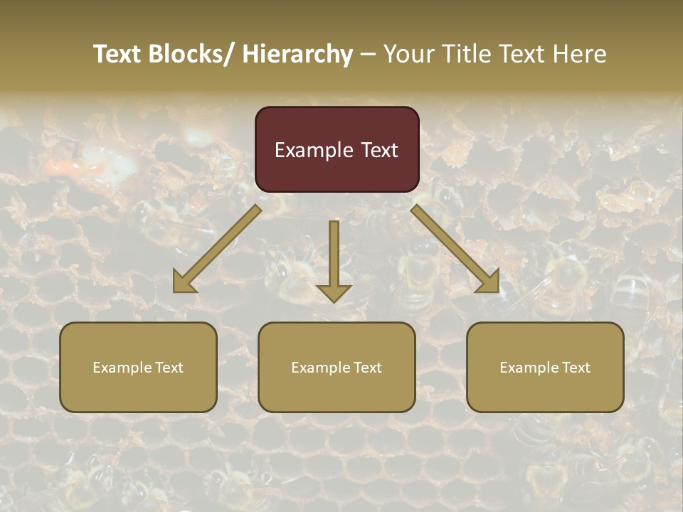 Apiary Moving Background PowerPoint Template