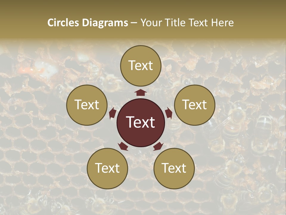 Apiary Moving Background PowerPoint Template