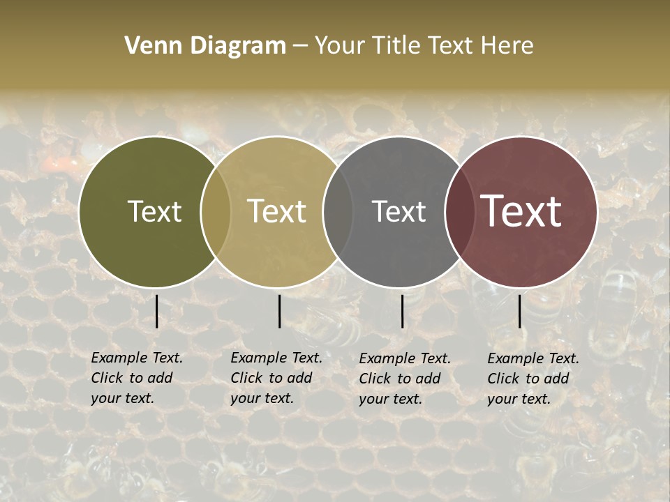 Apiary Moving Background PowerPoint Template