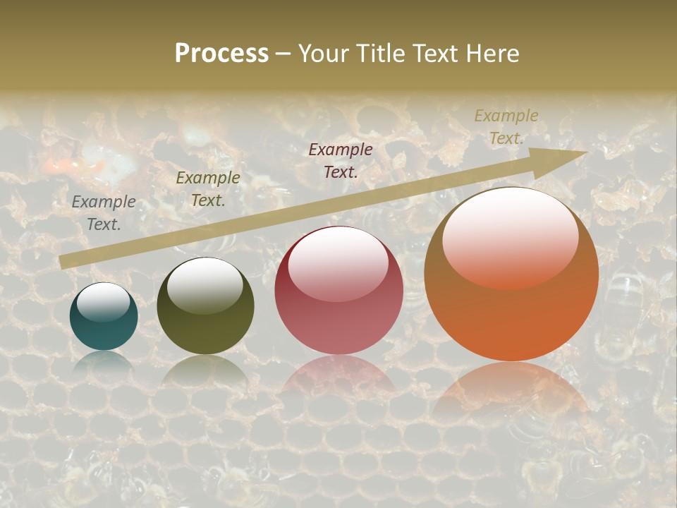 Apiary Moving Background PowerPoint Template