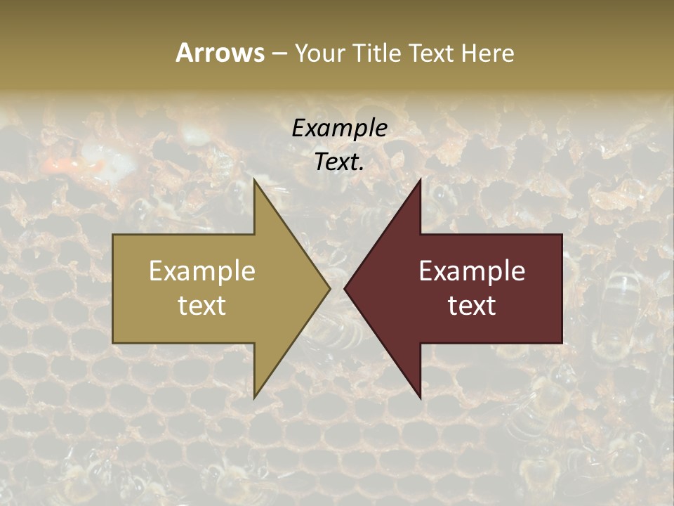 Apiary Moving Background PowerPoint Template