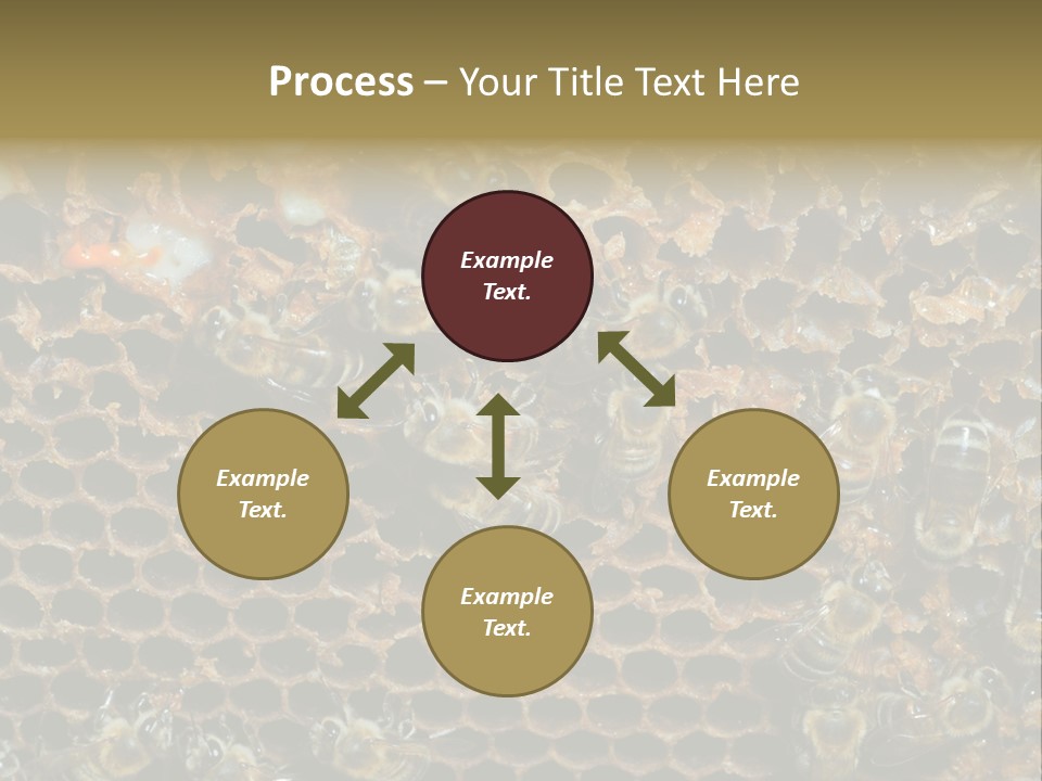 Apiary Moving Background PowerPoint Template