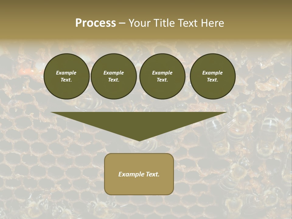 Apiary Moving Background PowerPoint Template
