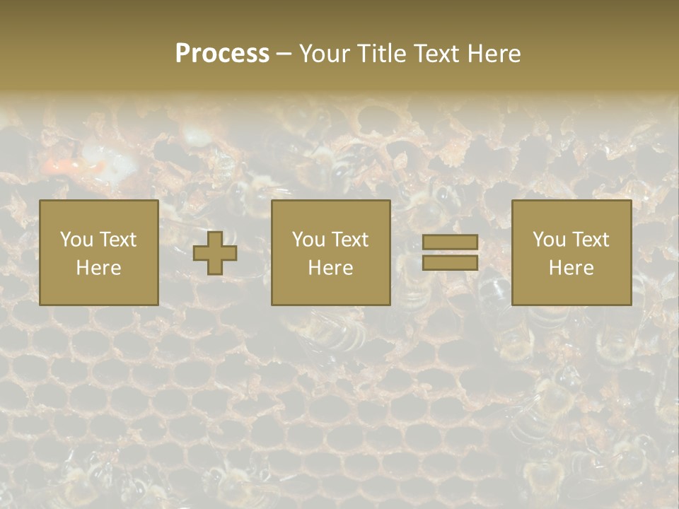 Apiary Moving Background PowerPoint Template
