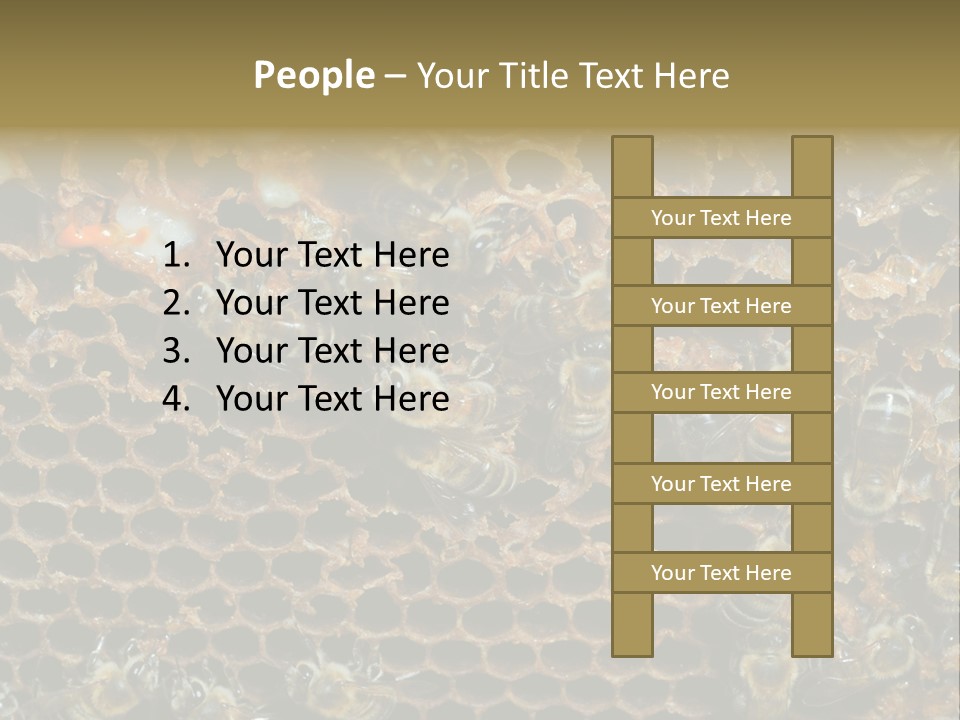 Apiary Moving Background PowerPoint Template