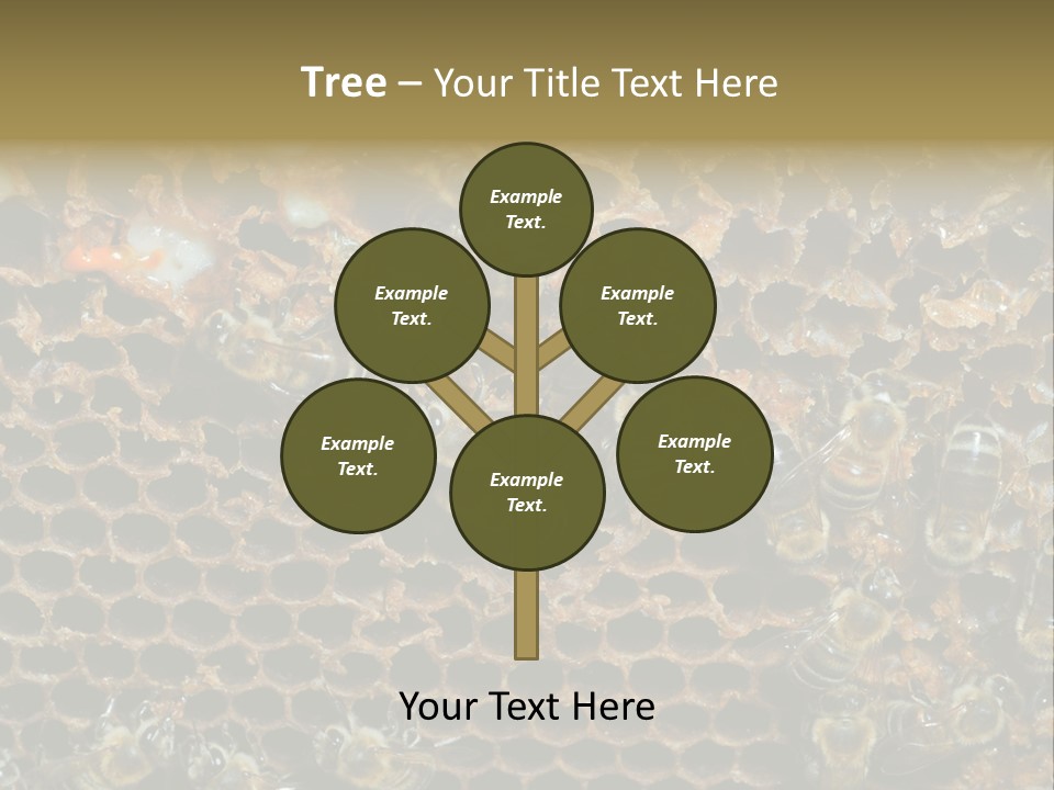 Apiary Moving Background PowerPoint Template