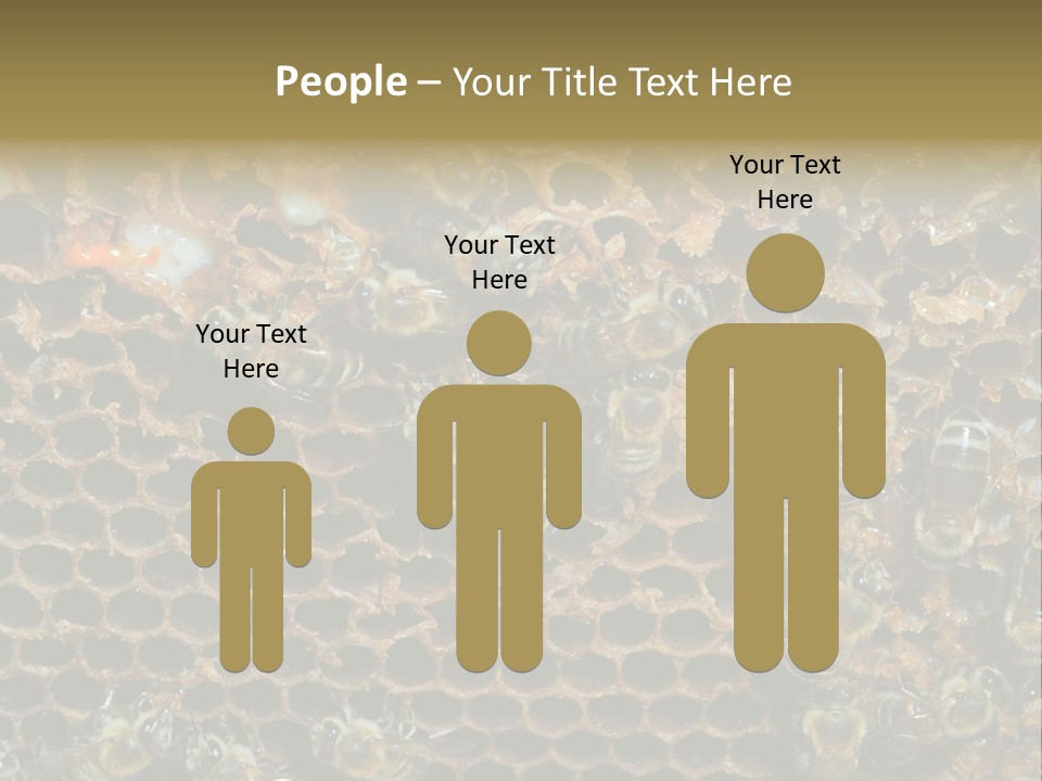 Apiary Moving Background PowerPoint Template