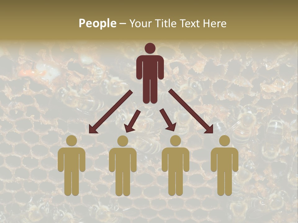 Apiary Moving Background PowerPoint Template