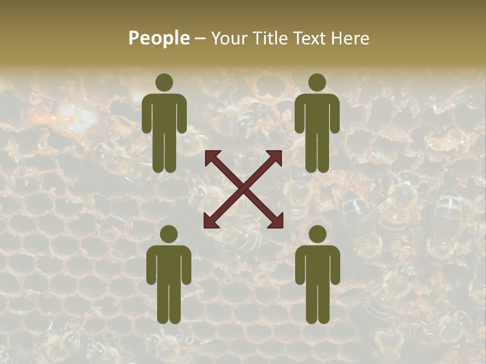 Apiary Moving Background PowerPoint Template