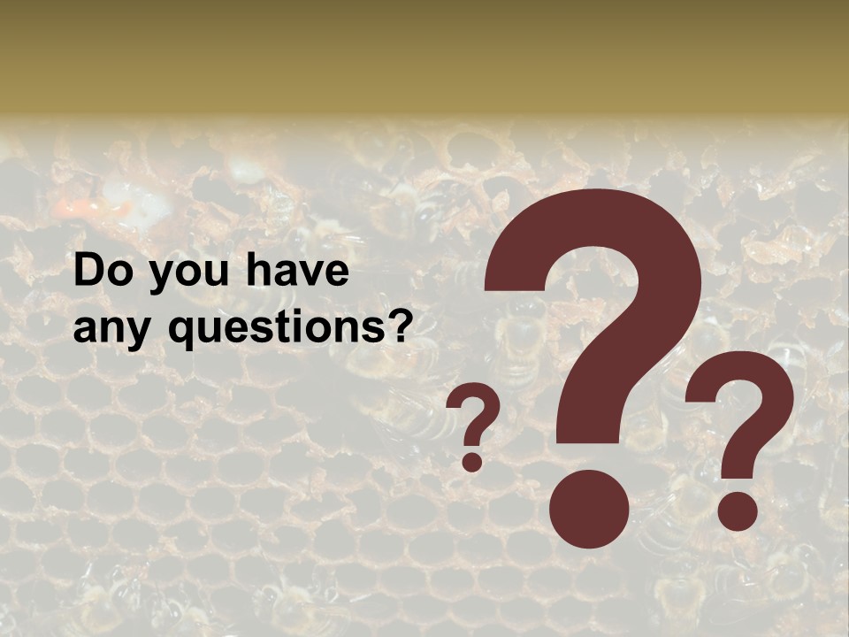 Apiary Moving Background PowerPoint Template