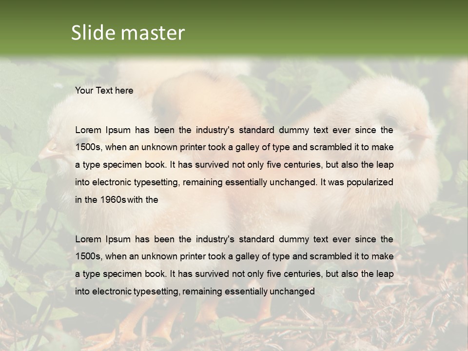 Five Farming Yellow PowerPoint Template