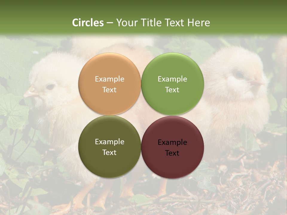 Five Farming Yellow PowerPoint Template