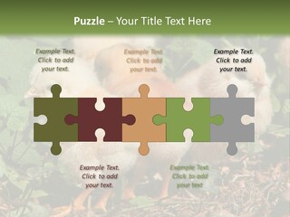 Five Farming Yellow PowerPoint Template